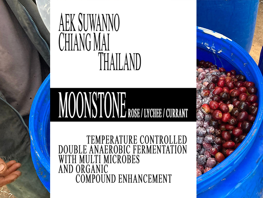 ORGANØØ1 MOONSTONE